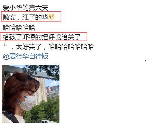 当个小网红,揭秘小网红的崛起之路