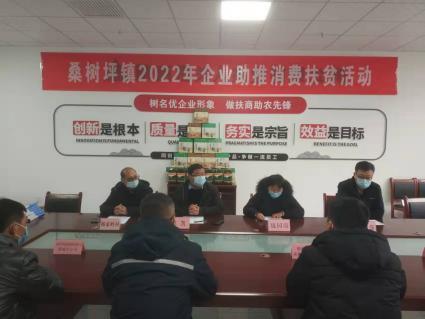 桑树坪镇今日头条,最新动态与热点事件速览
