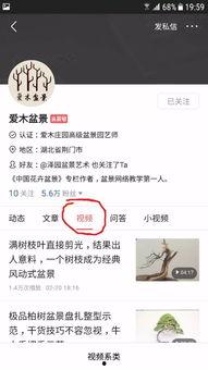 头条点赞视频大全图片,揭秘热门视频背后的点赞密码