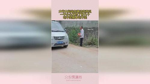 大爷路边吃瓜图片大全,大爷路边吃瓜，共享夏日清凉时光